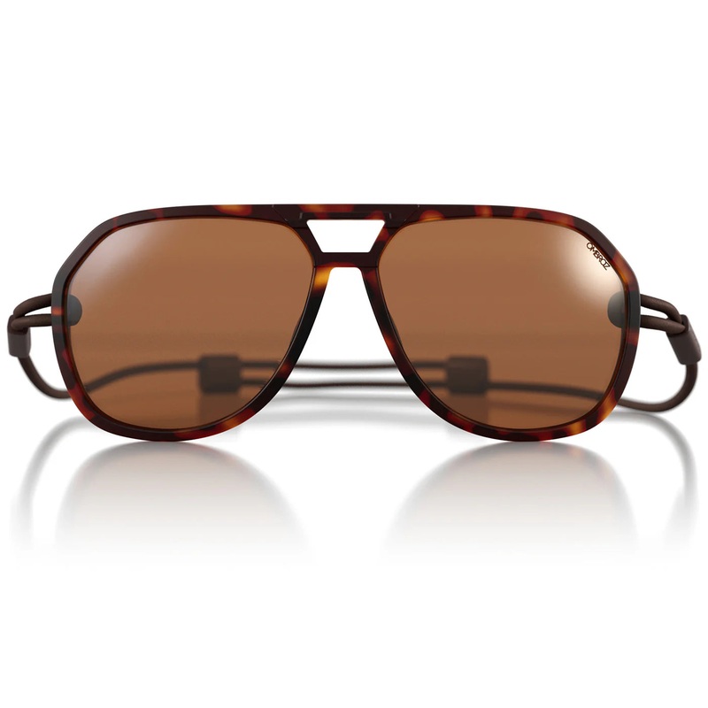 Classics Tortoise Polarized
