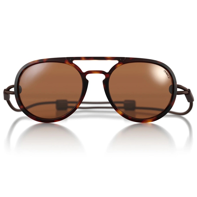 Dolomite Tortoise Polarized
