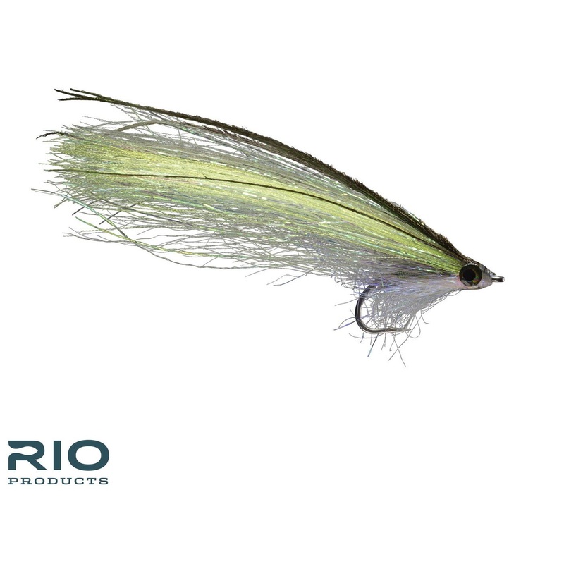 Rio’s Pipe Eel Olive 2