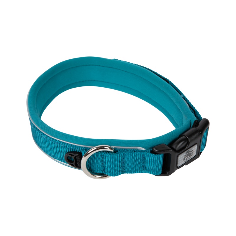 Radar 2024 Dog Collar