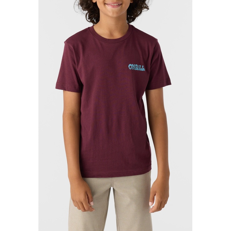 Oneill New Dreams Tee BUR
