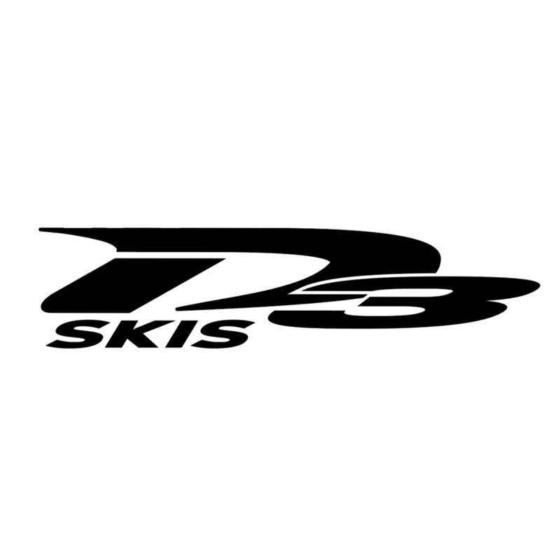 D3 Skis Vinyl Die Cut Stickers – 12″x3″