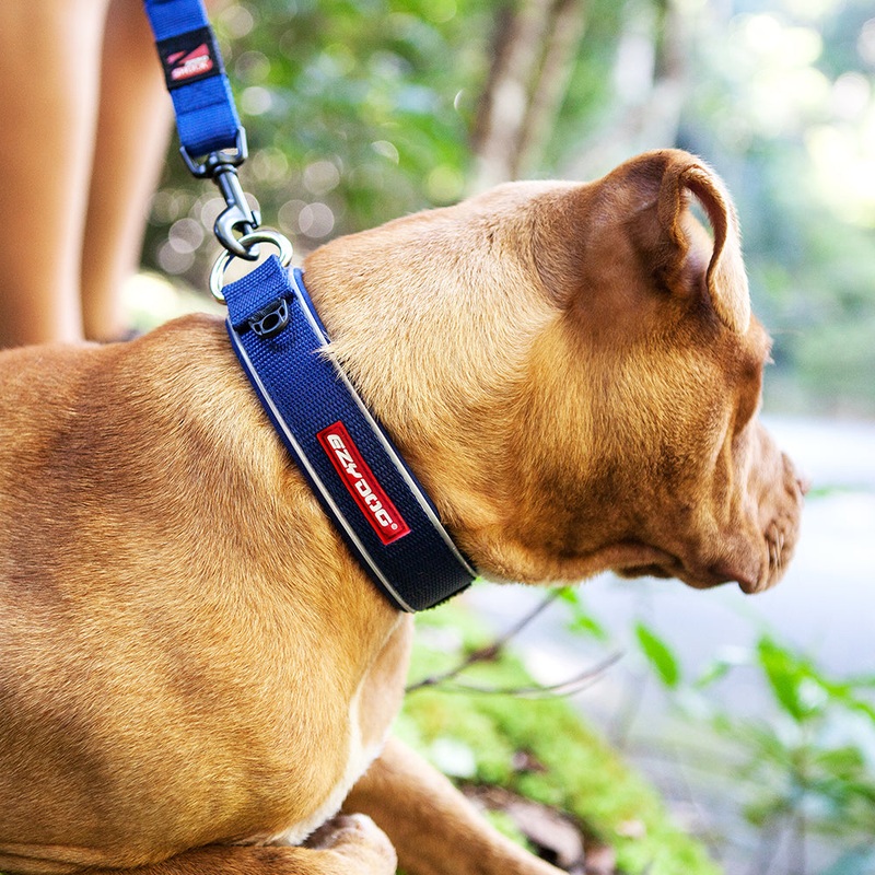 Ezy Dog Neo Collar
