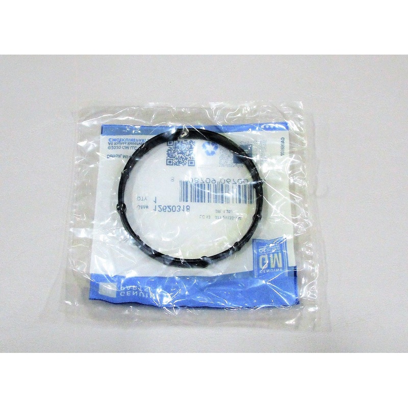 Seal, Thermostat Housing, LT4