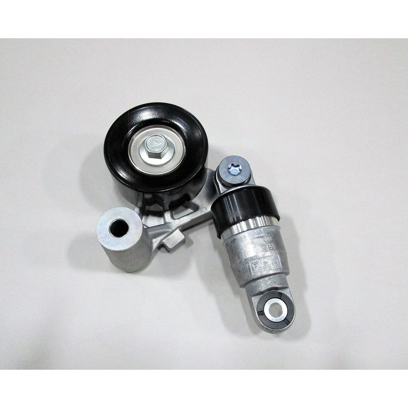 Tensioner, Accessory Drive Belt, LT4