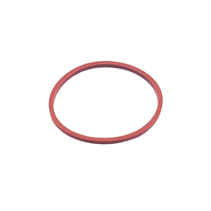 Sea Strainer Gasket only