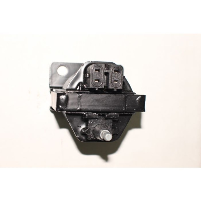 556132 COIL GM ’98 UP