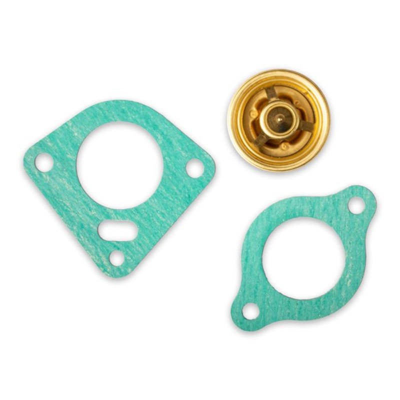 Thermostat Kit 160 deg.